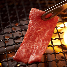 門前仲町 個室焼肉 ロイヤルのコース写真