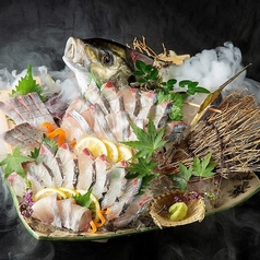 活〆シマアジ造り(3～4人前)