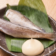 氷下魚一夜干し　１尾