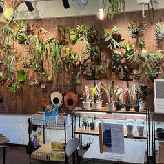 RAINBOW SMILE レインボースマイルの雰囲気2