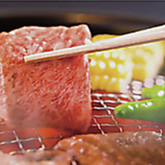 サットン焼膳博多のコース写真