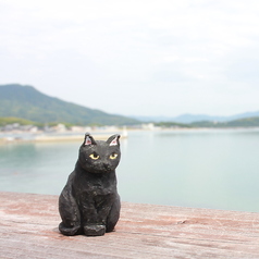 HACHIDORI ハチドリのおすすめポイント1