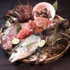 旬魚酒菜HAKATA屋