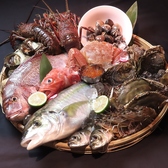 旬魚酒菜HAKATA屋の写真
