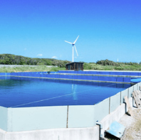 【旨みが凝縮】静岡の契約養殖場から届く極上すっぽん