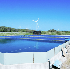 【旨みが凝縮】静岡の契約養殖場から届く極上すっぽんの写真