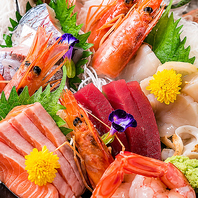 九州直送の鮮魚が旨い！日本酒と合わせると極上の時間に