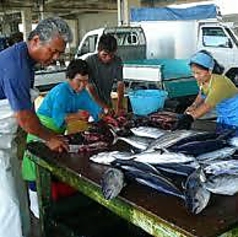 海人居酒屋 源 海人めし店の写真