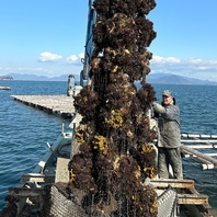 11月～4月はかき焼き食べ放題！