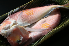 京彩旬肴　 吉竹　の写真