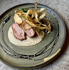 鴨ロースト　ゴボウとバルサミコ２種のソース