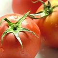 料理メニュー写真 フルーツトマト（天然塩で…）