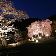 四季の風景を楽しめる部屋
