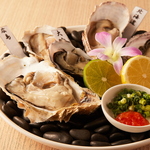 おいすたん 関内南口本店の写真ギャラリー