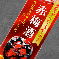 紀州南高赤梅酒