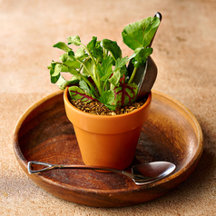 『芽が出た！』植木鉢のポテトサラダ