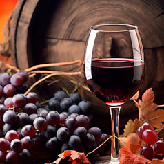 赤身の旨みを引き立てる極上のワインセレクション