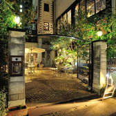 Trattoria ALBERO トラットリア アルベロの雰囲気3