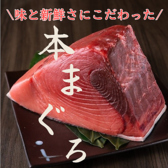 【新鮮な本マグロを中央卸売市場から直送し、贅沢な味わいをお届け！】ハラミやネギトロなど部位ごとのお刺身も豊富に取り揃え◎また、本マグロを含んだ盛り合わせも多数ご用意しております。さらに、当店は80種類以上のドリンクメニューもご用意してますので、お食事に合わせてお楽しみください。