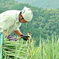 京都の伝統野菜「九条ねぎ」を使用