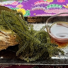 海ぶどう
