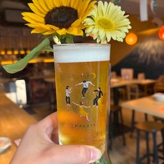 アサヒマルエフ〈生〉