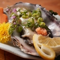 料理メニュー写真 【数量限定】牡蠣（生or焼き）　各1ヶ
