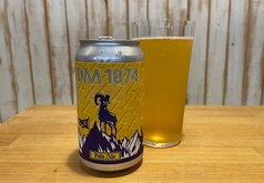 【3】TDM1874PaleAle(ABV:5.3%,IBU:34)