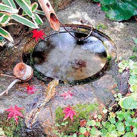 ���{���� �a���t