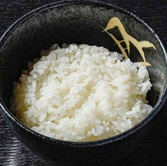白ごはん