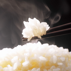 石鎚銀しゃり米ごはん