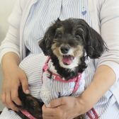 AND ONE アンドワンのおすすめ料理3