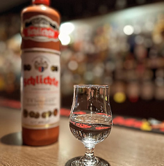 シュタインヘーガー