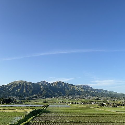 ASO RAINBOW TERRACE A\ C{[ eX