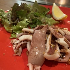 アホなイカ