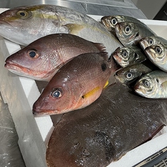 すし酒場くらや吉祥寺本店の雰囲気3
