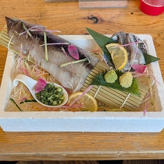 山形酒田港　するめいか姿造り