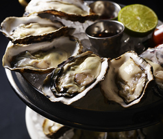 フレッシュオイスター