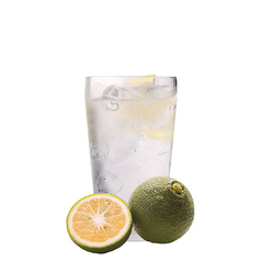 カボススカッシュ