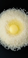 北海道のお米が育んだ奇跡の卵。自家配合北海道産飼料99.8％を実現。さらに、その内68％が北海道産米を使用。北海道産のお米で育った、淡黄色の安心たまご。“卵は毎日食卓へあがるものだからこそ、皆様に安心して食べていただきたい”自然な甘みとなめらかさを体感してください。