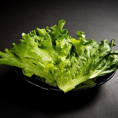 包み菜