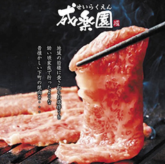 焼肉ホルモン 成楽園の特集写真