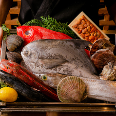 寿司 なかご 心斎橋の特集写真