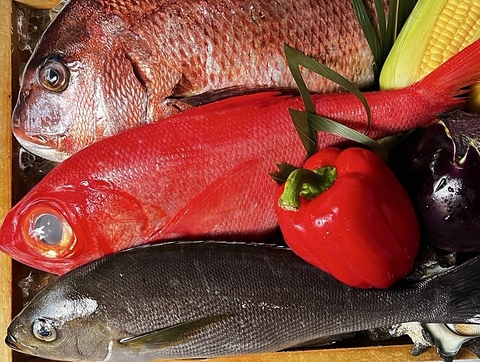 古き良き京都を感じながら。季節感あふれるお料理と美酒に、心も身体もほっこりと◎