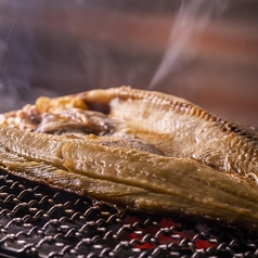 海炎 飯田橋店の特集写真