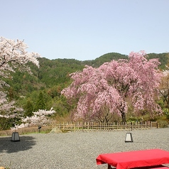 松山閣 松山本店の外観3