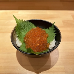 ミニいくら丼