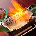 料理メニュー写真&nbsp;金華炙り〆鯖