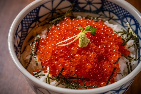 北海道居酒屋 朱蔵harapeco すすきの店(すすきの駅/居酒屋