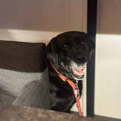 Bar Cendrillon サンドリヨンの雰囲気2